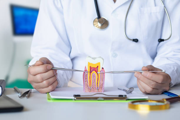 Best Dental Abscess Treatment in Herald, CA